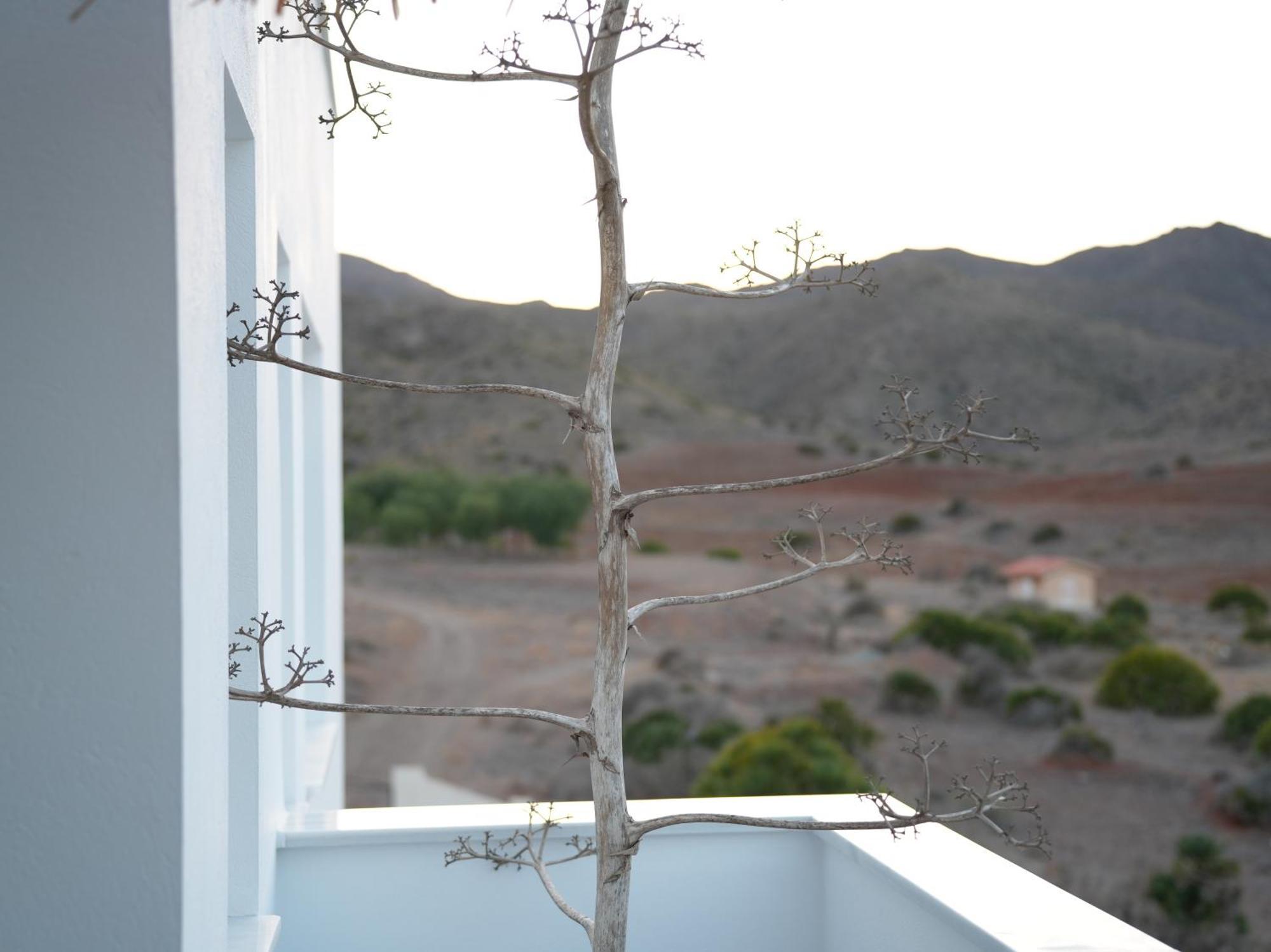 Senses Villa San José Dış mekan fotoğraf